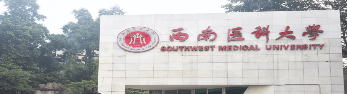 Southwest Medical University